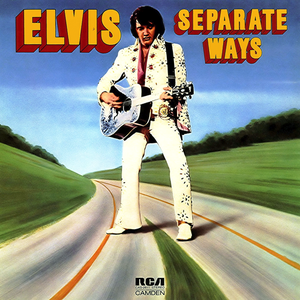 Обложка Elvis Presley — Separate Ways
