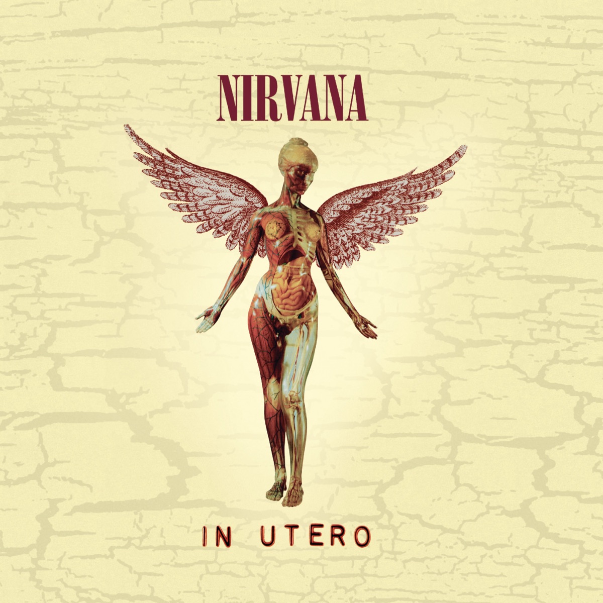 Обложка Nirvana — In Utero