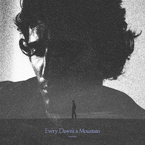 Обложка Tamino — Every Dawn's A Mountain