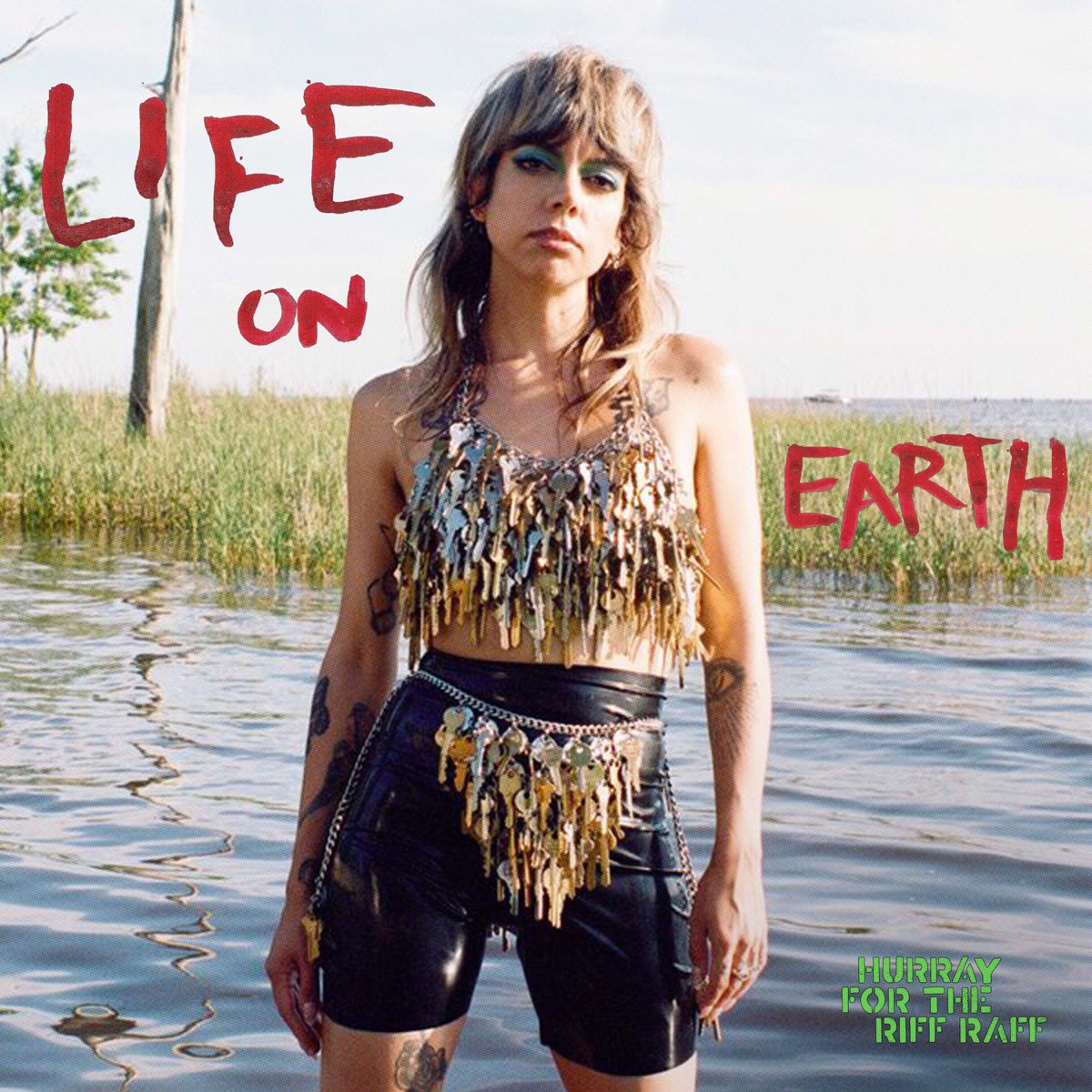 Обложка Hurray for the Riff Raff — Life On Earth