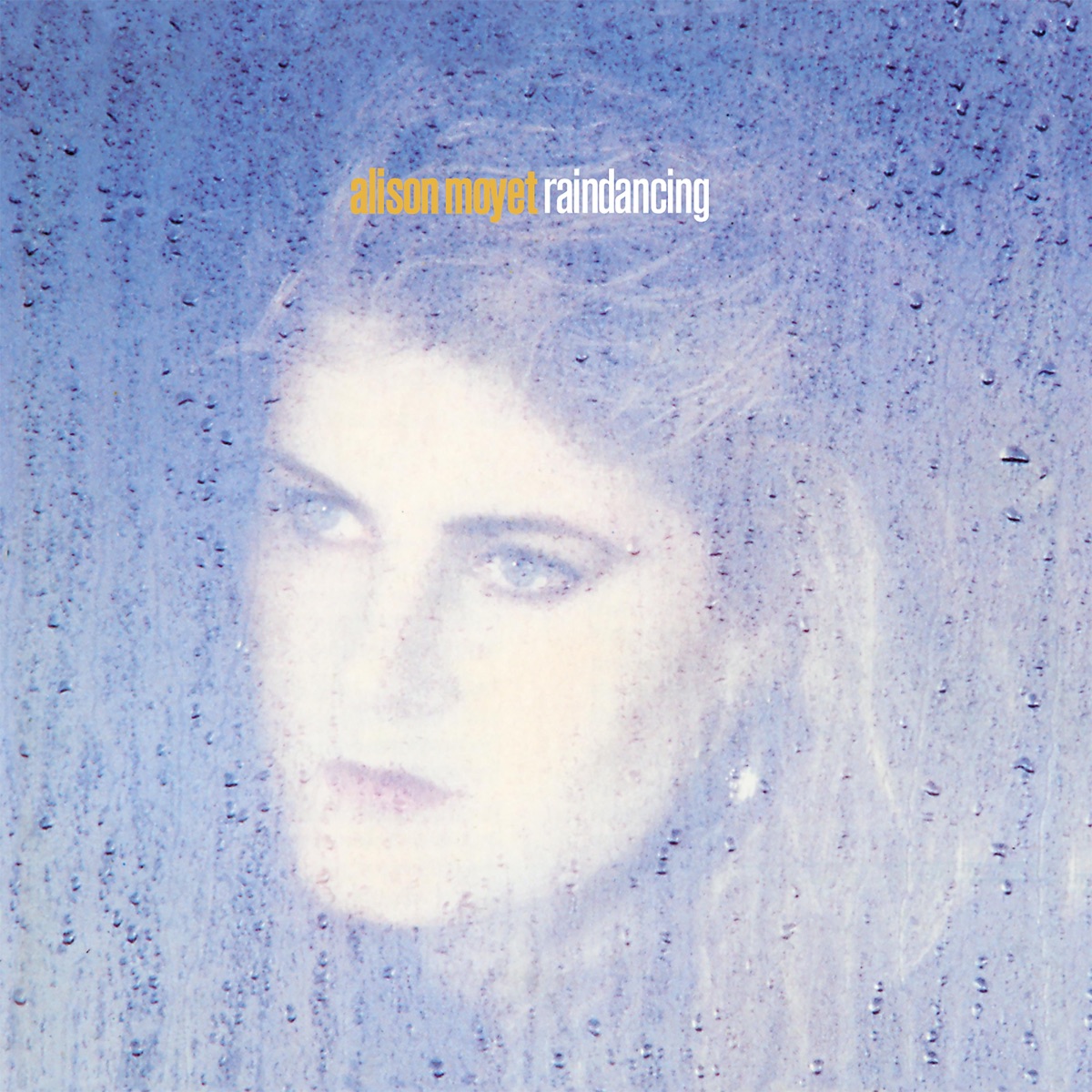 Обложка Alison Moyet — Raindancing