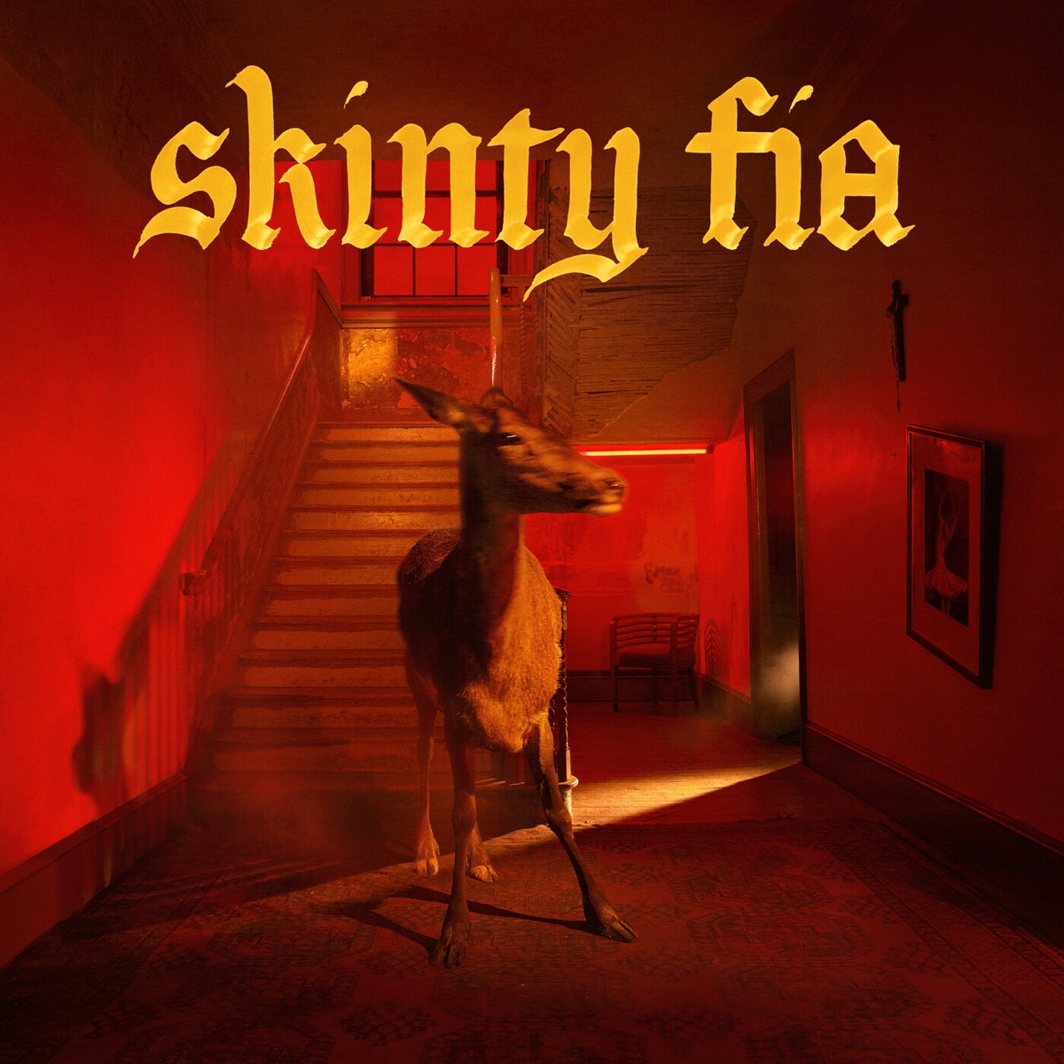 Обложка Fontaines D.C. — Skinty Fia