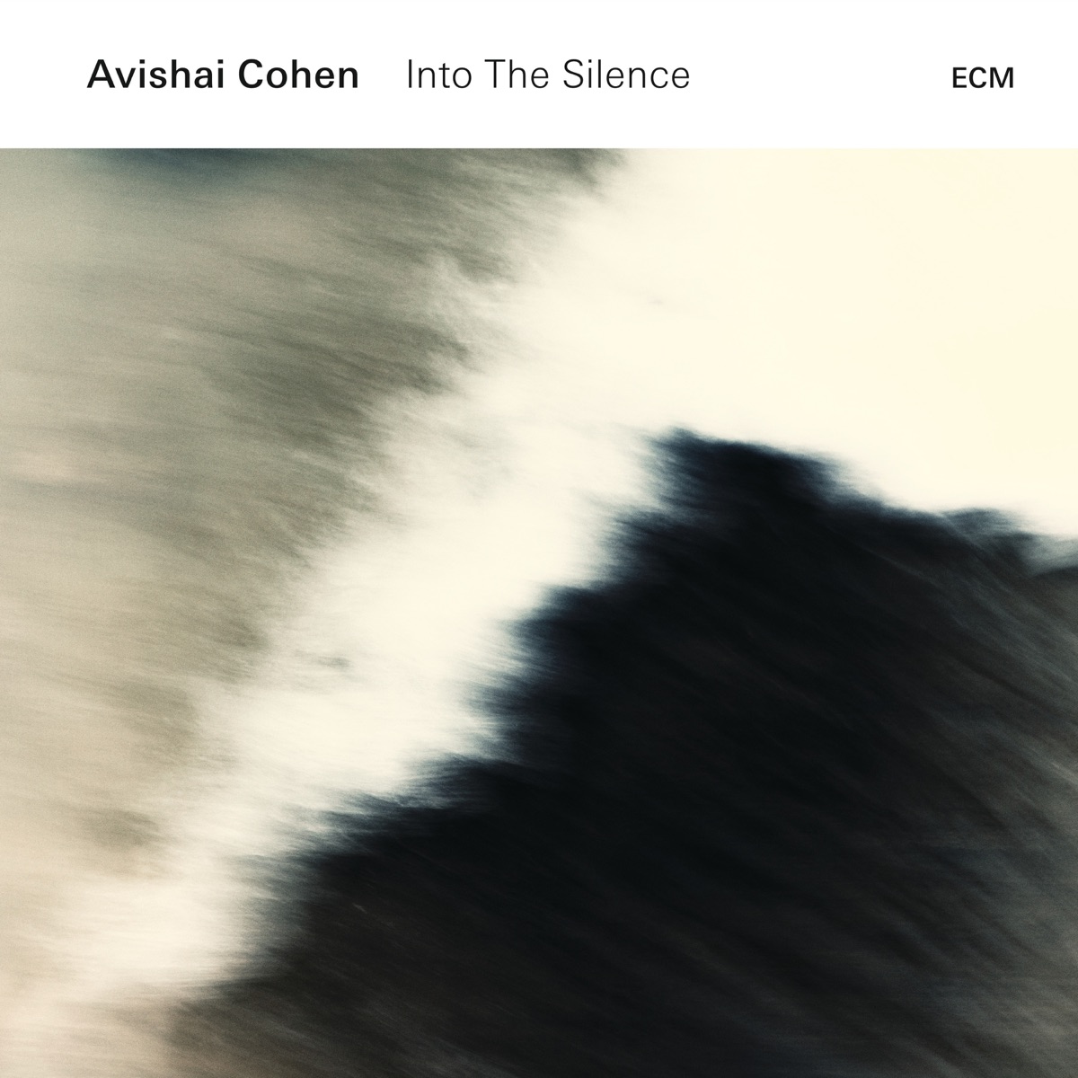 Обложка Avishai Cohen — Into The Silence