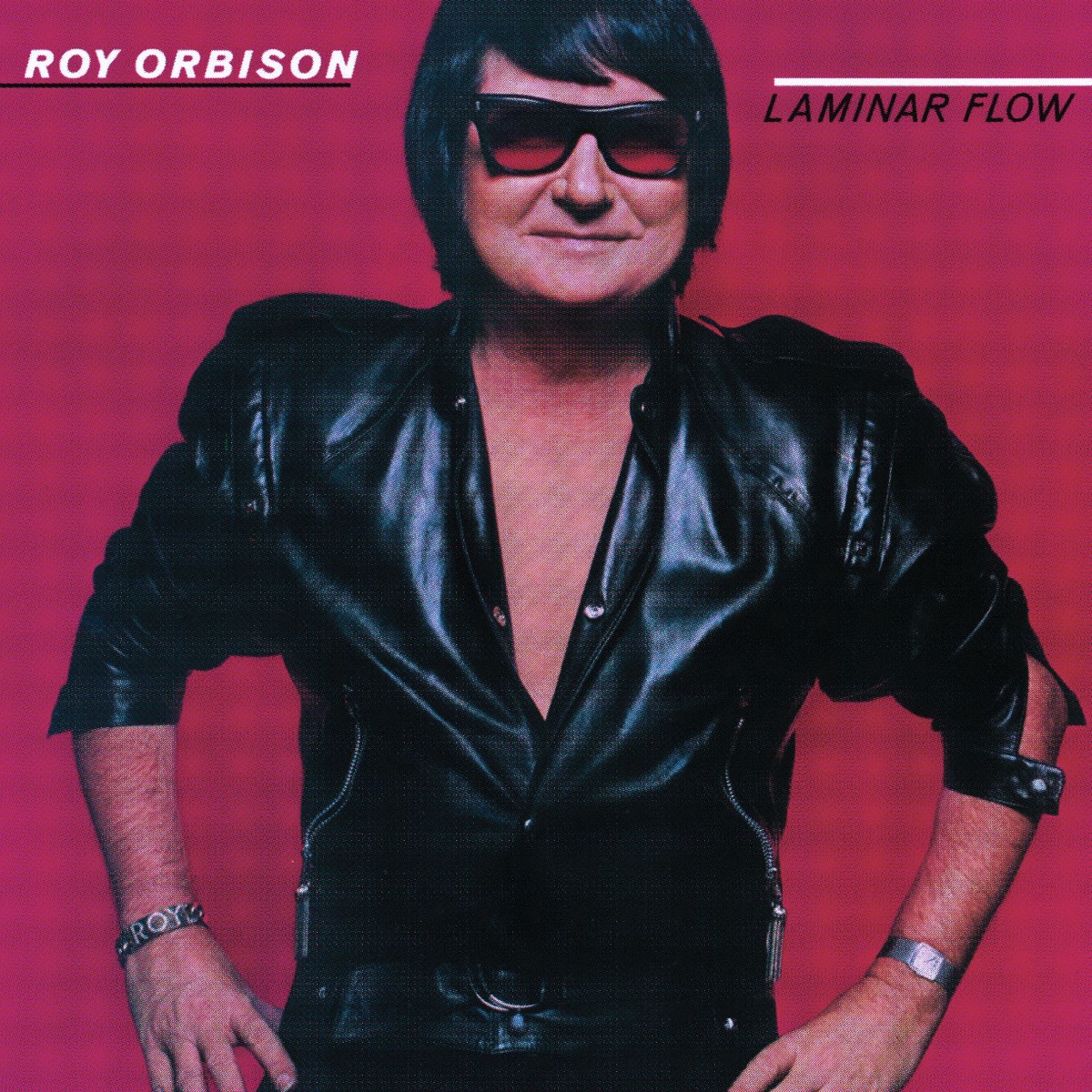 Обложка Roy Orbison — Laminar Flow