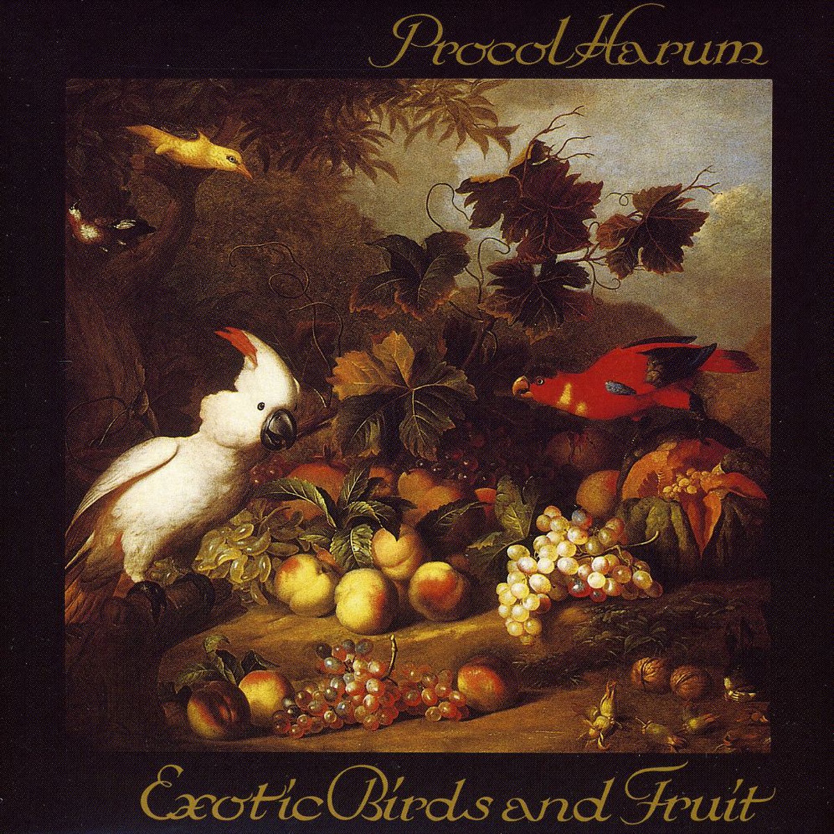 Обложка Procol Harum — Exotic Birds And Fruit