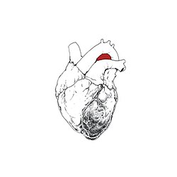 Обложка Swans — The Beggar