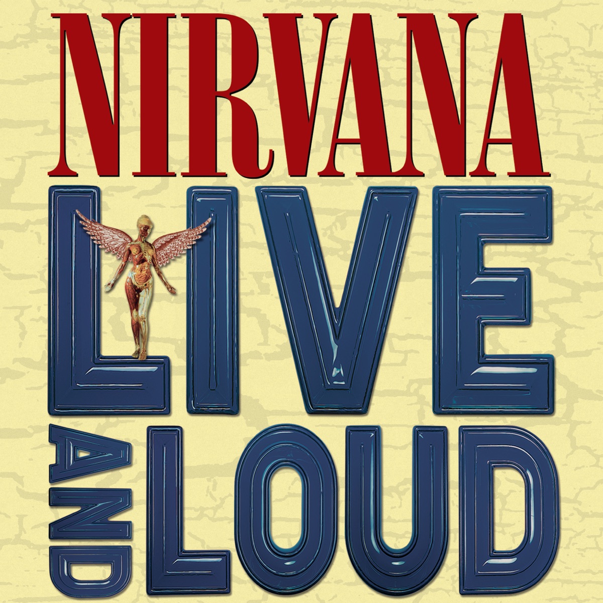 Обложка Nirvana — Live And Loud