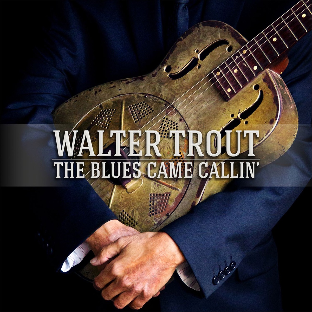 Обложка Walter Trout — THE BLUES CAME CALLIN