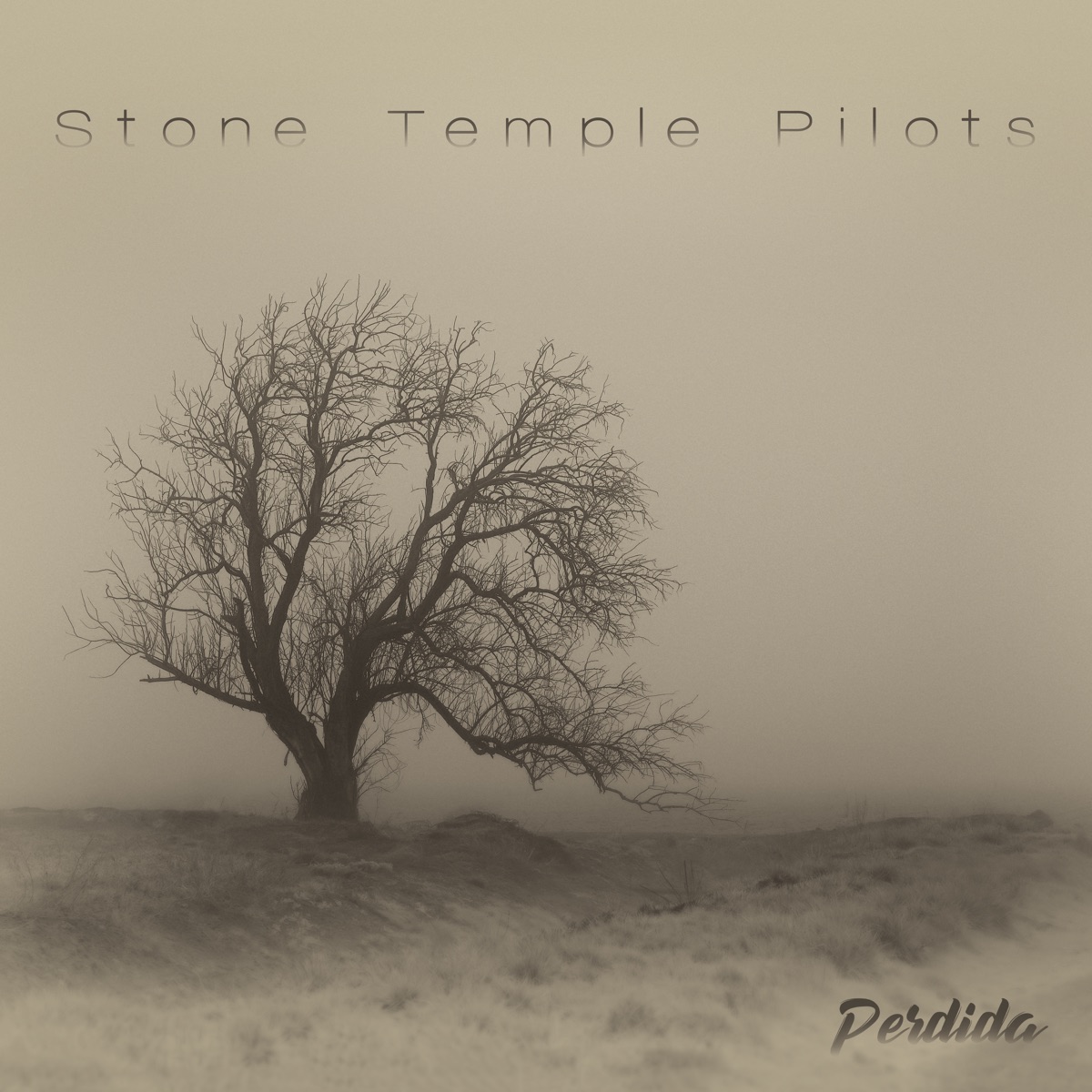 Обложка Stone Temple Pilots — Perdida