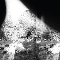 Обложка Godspeed You! Black Emperor — Asunder, Sweet And Other Distress