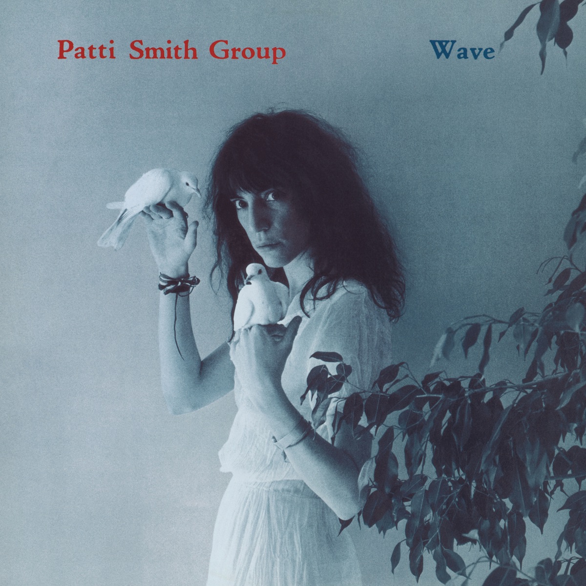 Обложка Patti Smith — Wave