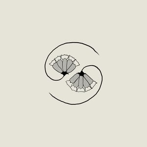 Обложка Godspeed You! Black Emperor — G_d's Pee At State's End!