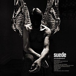 Обложка Suede — Antidepressants