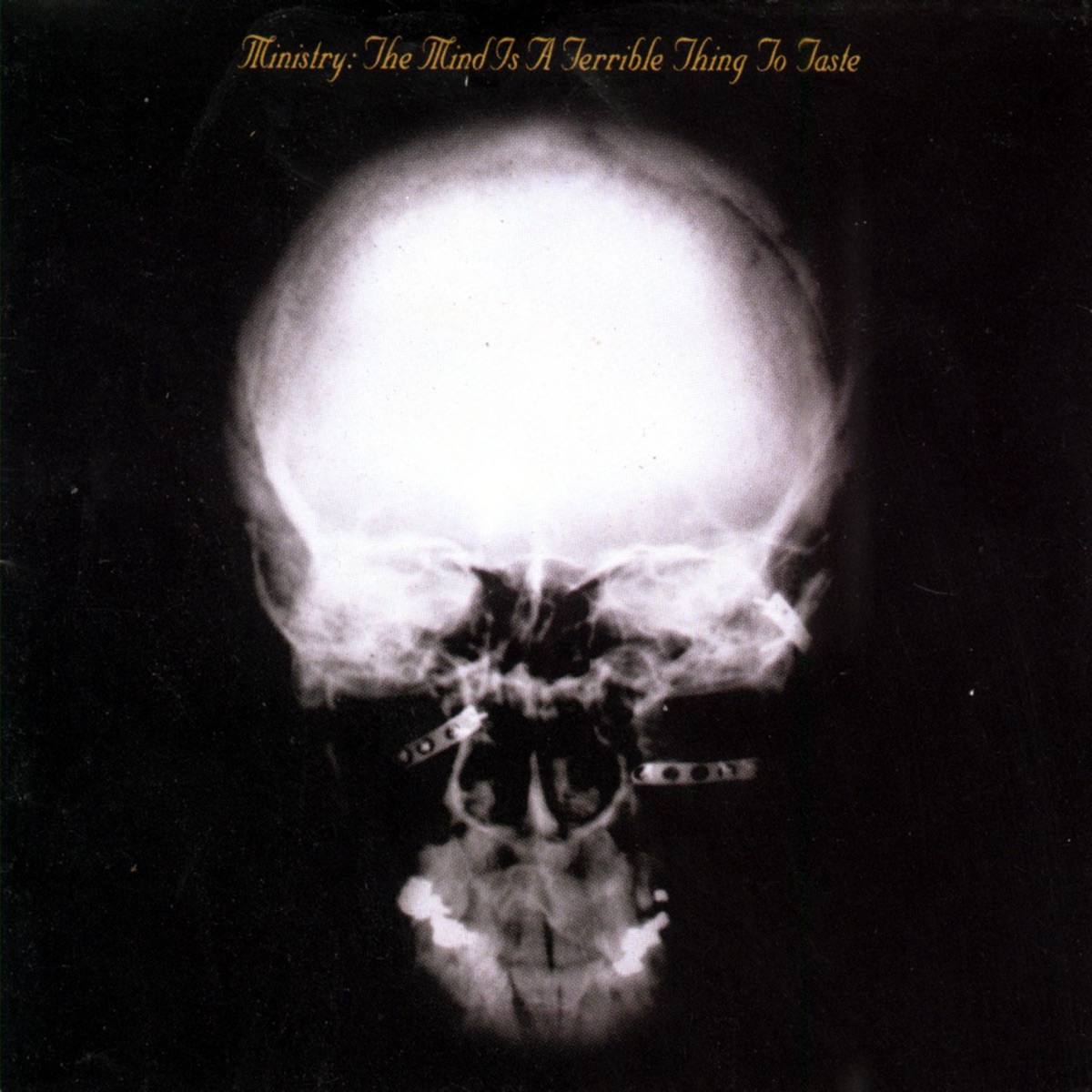 Обложка Ministry — The Mind Is A Terrible Thing To Taste