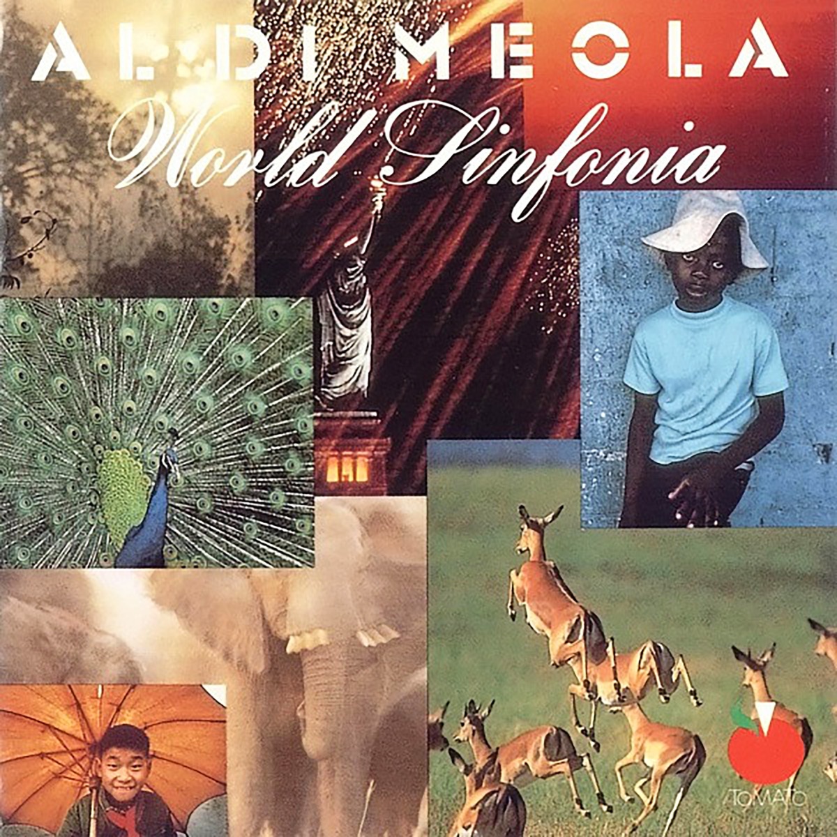 Обложка Al Di Meola — World Sinfonia