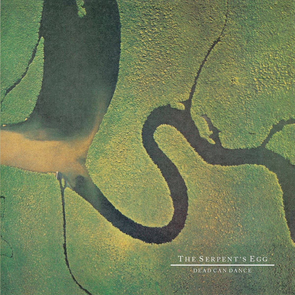 Обложка Dead Can Dance — The Serpent's Egg