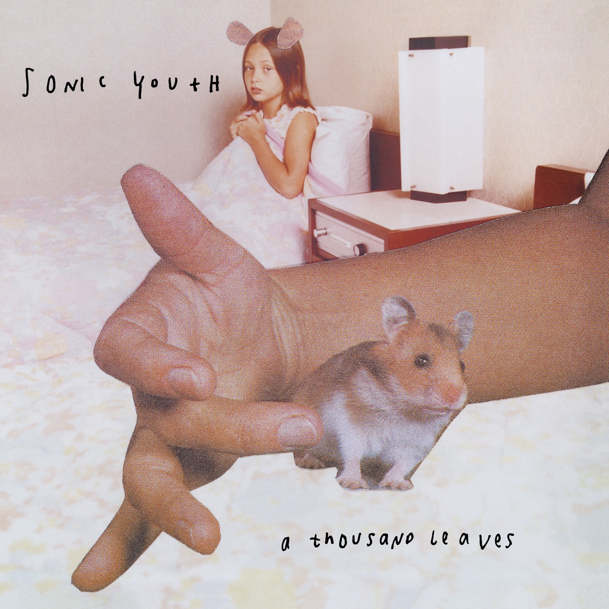 Обложка Sonic Youth — A Thousand Leaves
