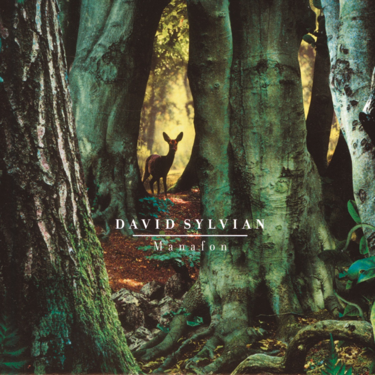 Обложка David Sylvian — Manafon