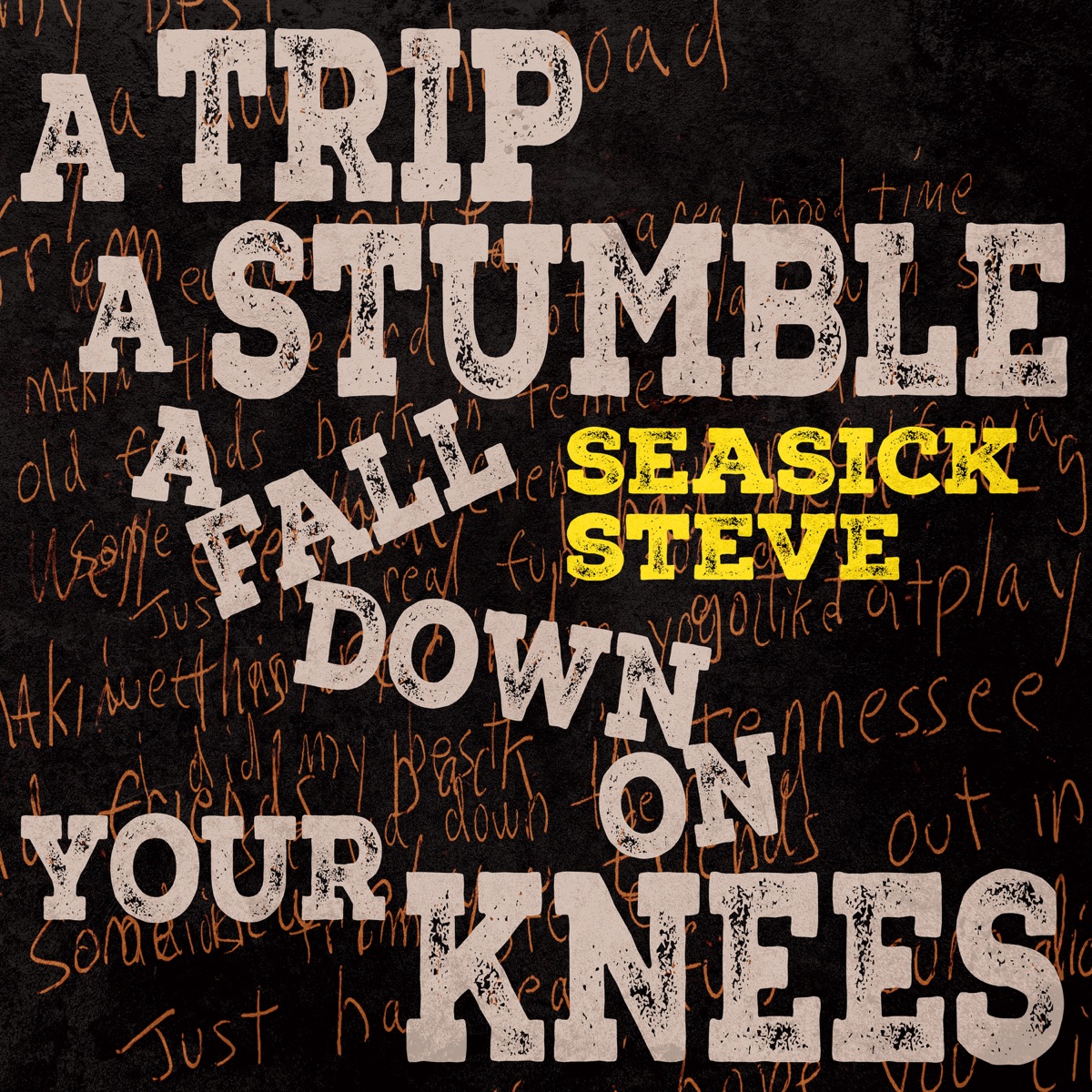 Обложка Seasick Steve — A Trip A Stumble A Fall Down On Your Knees