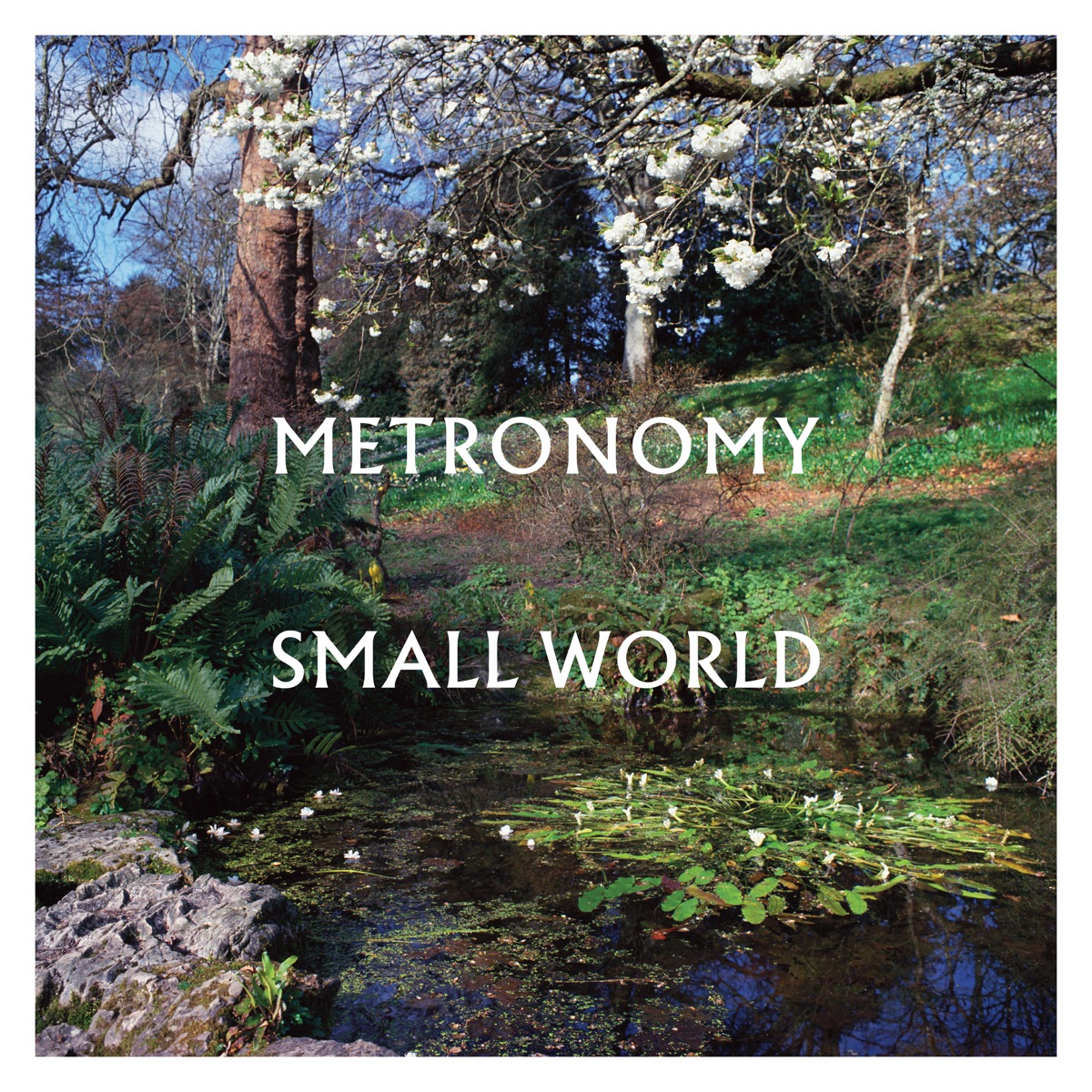 Обложка Metronomy — Small World